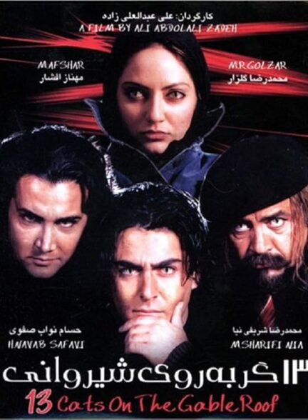 سیزده گربه روی شیروانی